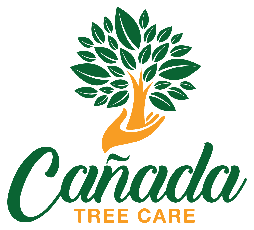 Logo Canada Tree Care
