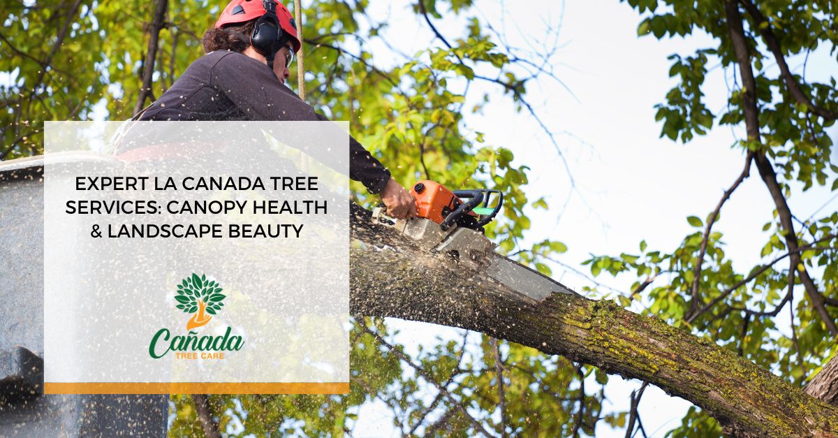 Expert La Canada Tree Services Canopy Health & Landscape Beauty