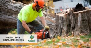 La Canada tree services