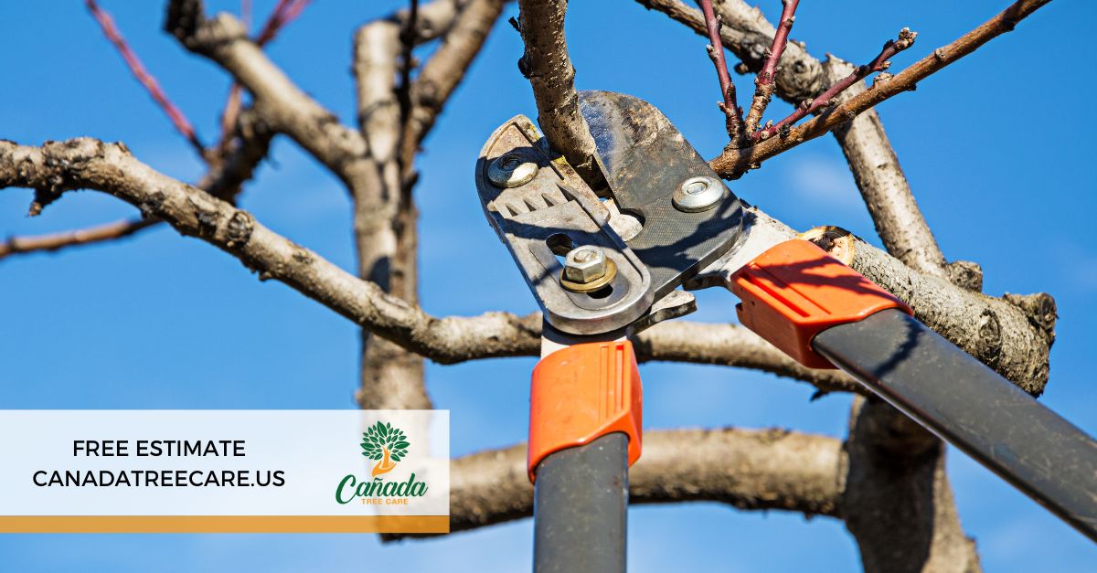 Canada Tree Service