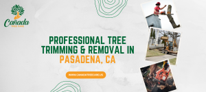 tree trimming service in pasadena